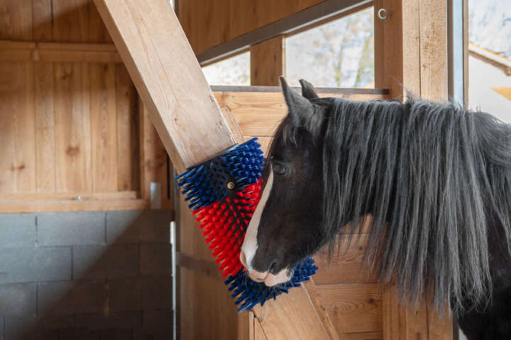 KERBL Kratzbürste XL